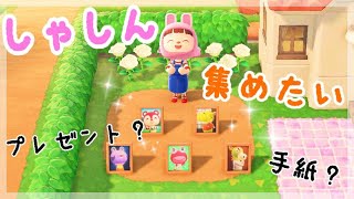 【住民の写真集めのポイント♪あつ森】あつまれどうぶつの森ほのぼの実況