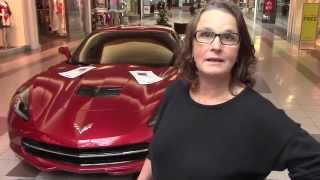 preview picture of video 'Little Red Corvette - Cindy Clarke Pottery Studio Blog Episode Ten'