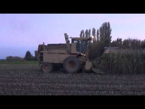 Landb. Tanghe - Wortegem