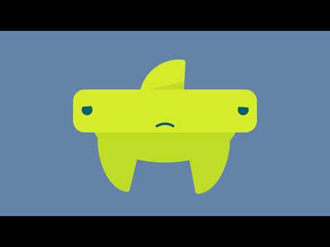 29265 VIPB Slow Hammerheads Explainer Final
