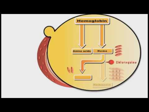 Chloroquine phosphate tablets, 250 mg, treatment: to treat m...