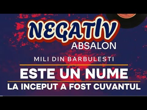 NEGATIV - ESTE UN NUME & LA INCEPUT A FOST CUVANTUL - MILI DIN BARBULESTI