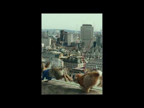 PETERRABBIT motion 768x1360 tablet