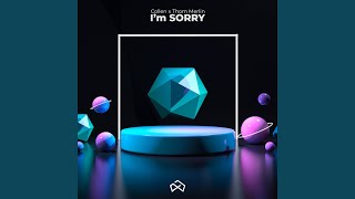 I'm Sorry Music Video