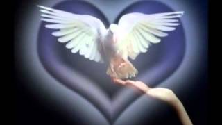 Los Bukis - Si no es Contigo.wmv