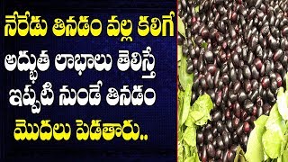 Amazing Health Benefits and Uses of Jamun Fruit (N