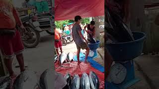 ang sisipag ng mga batilyo ng benok bese@baler aurora