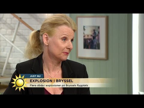 Frerot: ”Syftet är att orsaka maximal panik i samhället” - Nyhetsmorgon (TV4)