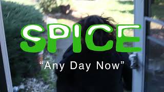 Spice - Any Day Now video