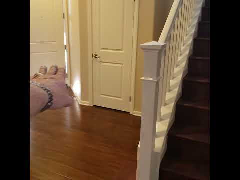 Canyon Hills 4 Bedroom/3 Bath 36500 Acanthus Drive property video