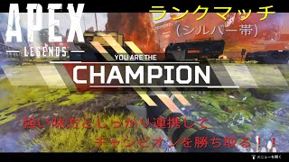 Apex Legends　強い味方と連携してチャンピオン