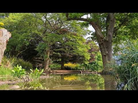 War Memorial Park guided mini tour Coventry, including the Cenotaph