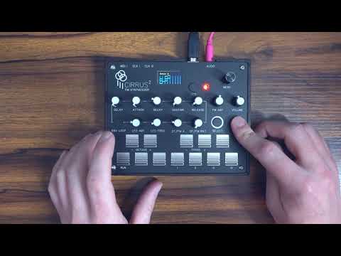 Otem Rellik - Cirrus 2 FM Synthesizer- 1 of 9 made image 5