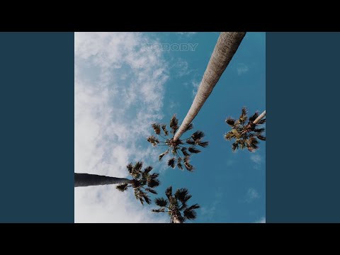Nobody (feat. SnaapOrDie)