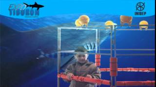 DIA 2 Expo Tiburon93