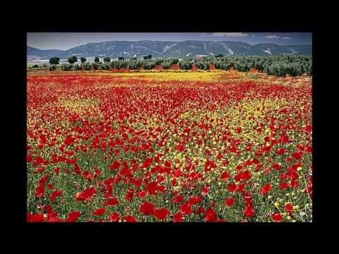 Pierangelo Bertoli - Rosso colore