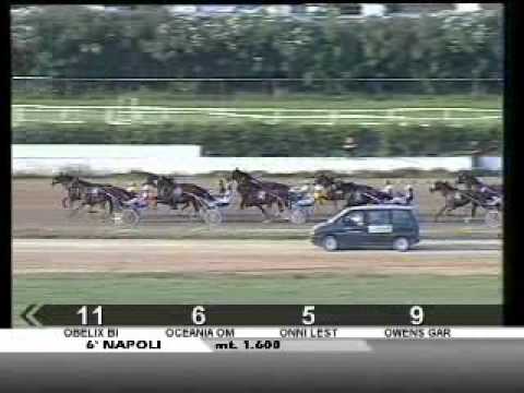 27/09/2012, Napoli Trotto, Premio Oporto Ii Tris.