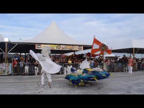 IMPERATRIZ DONA LEOPOLDINA 2019 MESTRE SALA E PORTA BANDEIRA