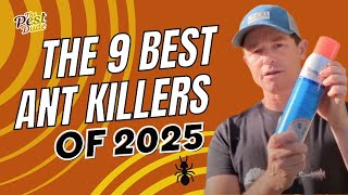 The 9 Best Ant Killers of 2025, According to an Exterminator