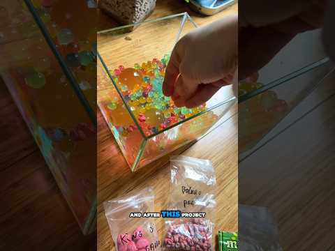 Orbeeze 🤝 spring seed germination…think they’ll grow?🌱#howtowithjessie #orbeeze #seed #starter