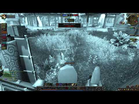FIVE HEALERS VS FIVE HUNTERS? (World Of Warcraft Shadowlands) Dwarf Hunter