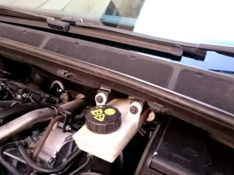 Proteine e potenza Pillole per i prezzi di potenza in Ucraina