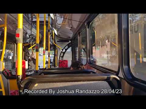 Transit Systems (Kingsgrove) 2599 ST - Scania K280UB.