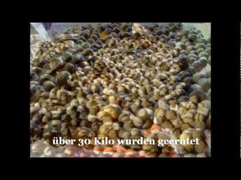 Stretching auf dem Thorax Warum verletzen die Gelenke der Hände und wie sie behandeln