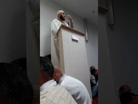 Ngurtësimi i zemrës - Alim Hamza