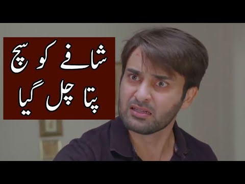 Bay Dardi - Episode  22 - 23 Full Story Review in Urdu | Aiman Khan | Affan Waheed | Ary Digital