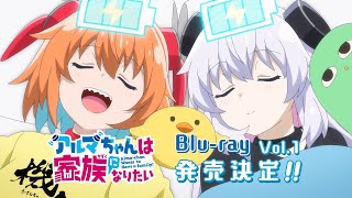 Blu-ray 発売告知CM