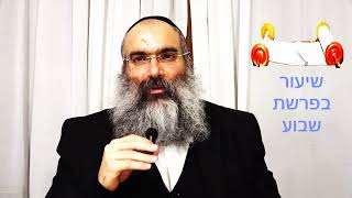 מכת כינים ממוקדמת▪️הרב נחמנסון▪️(פרשת וארא. בית חב"ד רמת גן) (הרב יהודה לייב נחמנסון) - התמונה מוצגת ישירות מתוך אתר האינטרנט יוטיוב. זכויות היוצרים בתמונה שייכות ליוצרה. קישור קרדיט למקור התוכן נמצא בתוך דף הסרטון