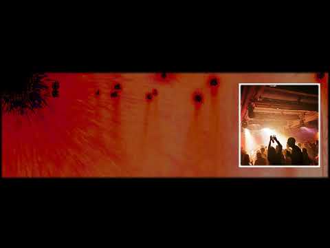 Oliver Lieb New Years Special - below0 at Aaniwalli DJMix