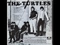 The Turtles   "Glitter And Gold"  (remix)
