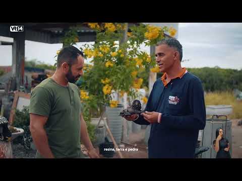 Mário: An enterprising artist from Gavião - Paulo Gustavo Law - VR14