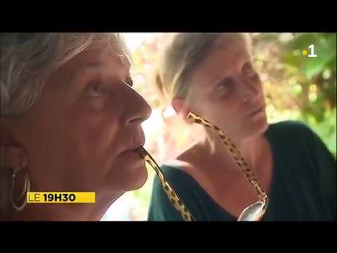 Exposition "Mur 21" au Nakamal 21 de Nouméa - Nouvelle-calédonie la 1ère