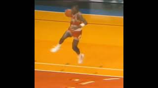 [問卦] 哪個NBA球員的highlight最好看？