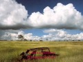 Enya - Cursum Perficio