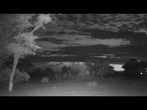Djuma: Lightning storm in the distance - 18:57 - 11/19/19