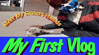 My First Vlogs || Street Animals