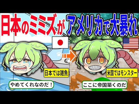 Nuvola アプリの教育言語.svg