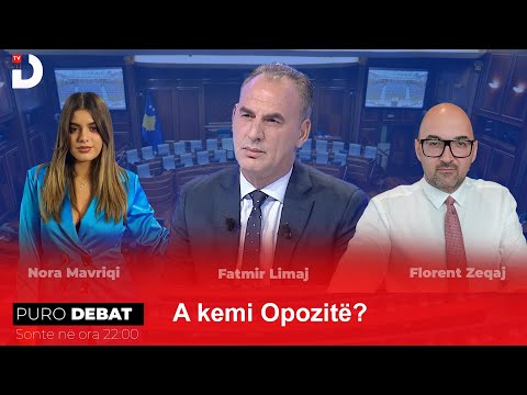 Puro Debat: Fatmir Limaj - A kemi Opozitë?