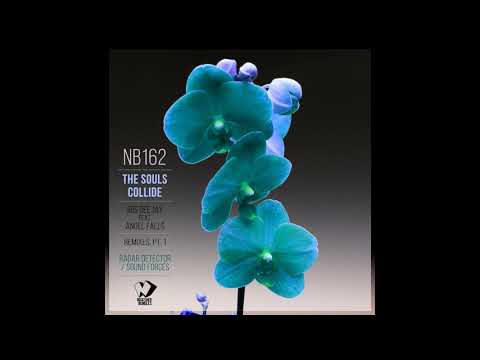 Iris Dee Jay feat. Angel Falls  - The Souls Collide (Radar Detector Remix)