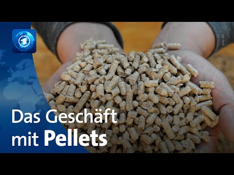 Holzpellets: Fragwürdige Geschäfte mit Energie