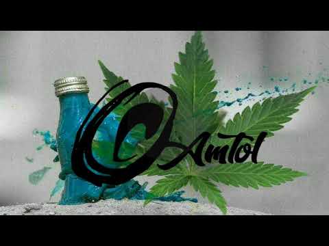 Camtol G27 x Shaggy ft omi NEW SEASON REMIX