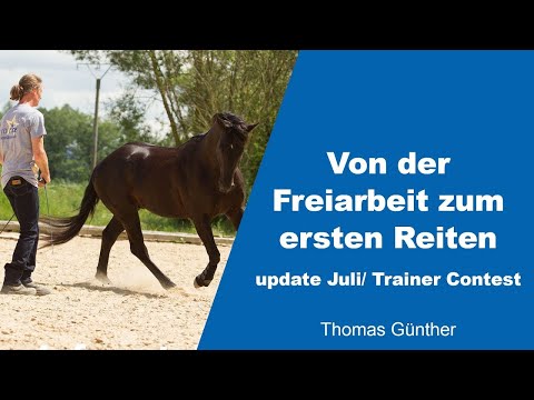 Von der Freiarbeit zum ersten Reiten | Thomas Günther | Trainer Contest 2021 Update Juli