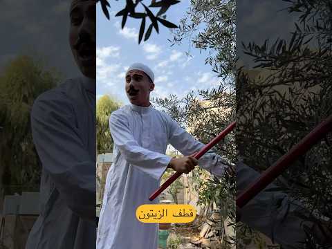 قطف الزيتون والعيله الاردنيه #shorts
