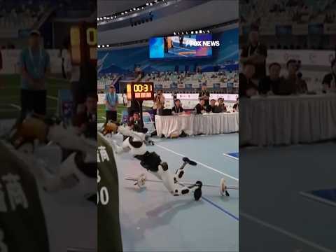 WATCH: Robot crashes into judges' table during humanoid weightlifting final #shorts #foxnews #news