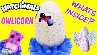 HATCHIMALS OWLICORN Whats Inside? Hatch Day Toys R Us Exclusive Surprise Egg and Toy Collector SETC