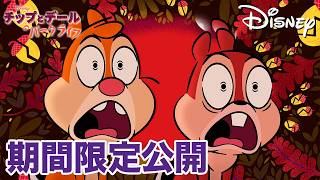 【期間限定無料公開】チップとデールのパークライフ | ピザの満月がかかる夜 / おばあちゃんを大切に / 主役になりたい